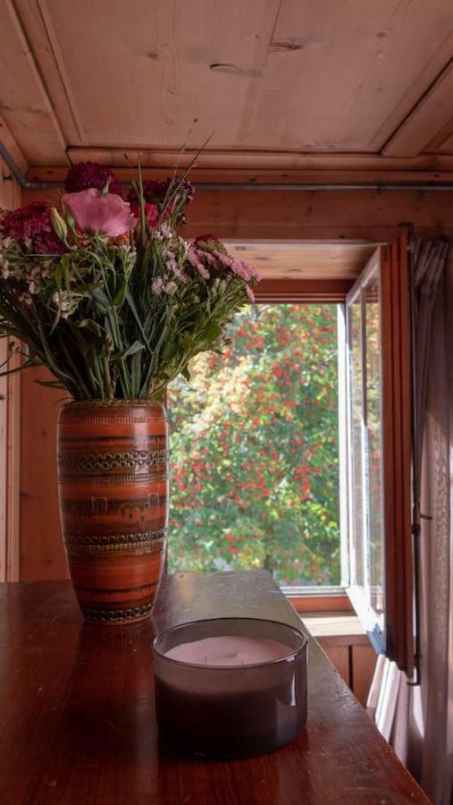 Ferienhaus Septimer Bivio Buitenkant foto